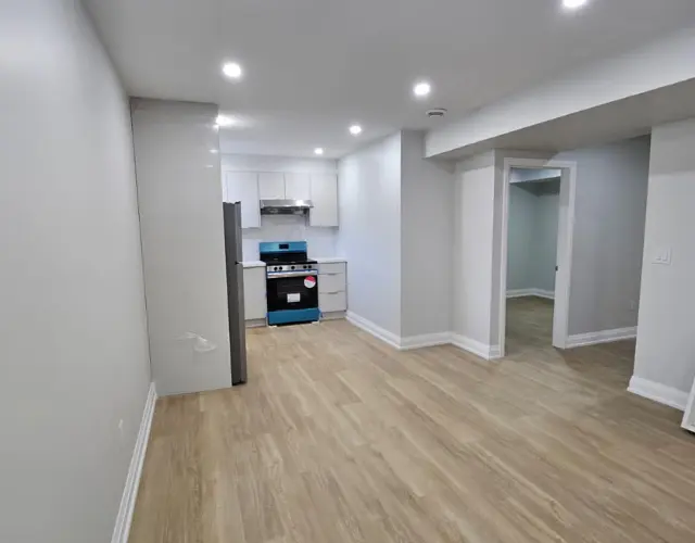 Basement renovation